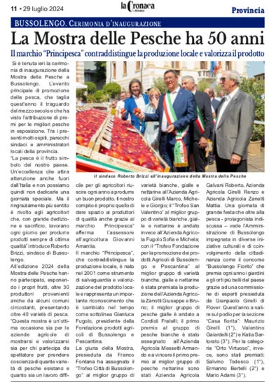 pagina della Cronaca
