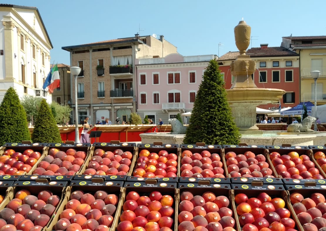 Pesca Igp Verona, produzione quintuplicata