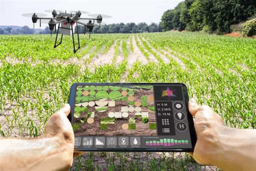 Gli agricoltori utilizzano poco gli strumenti informatici e il web per la conduzione della loro azienda