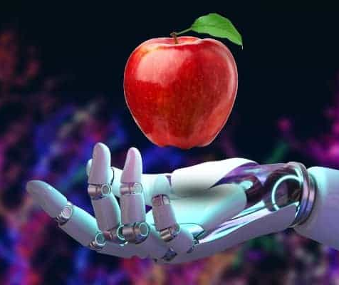 L'intelligenza artificiale conta i fiori delle piante e prevede la produzione