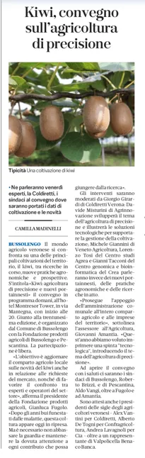 L'Arena di Verona parla del convegno sul kiwi in programma a Bussolengo
