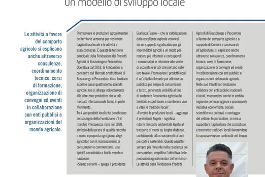 L'inserto annuale del quotidiano di Verona L'Arena si occupa della Fondazione