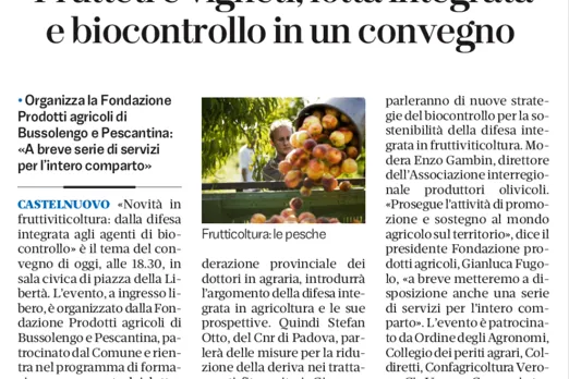 Gli organi di informazione parlano del convegno di Castelnuovo