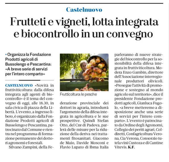 Gli organi di informazione parlano del convegno di Castelnuovo