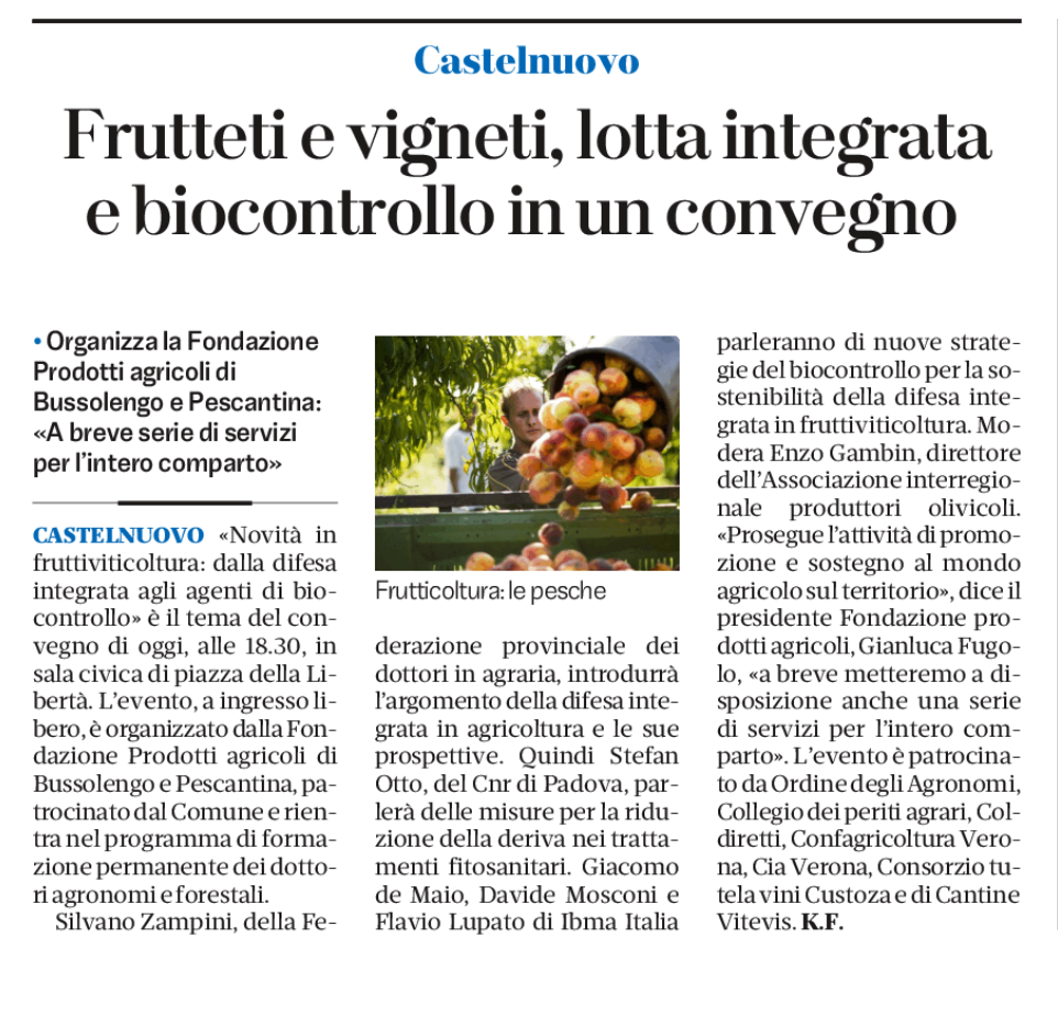 Gli organi di informazione parlano del convegno di Castelnuovo