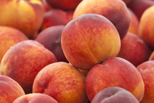 Pesche: produzione italiana ok, prezzi stabili