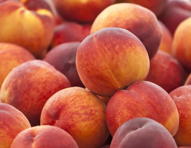 Pesche: produzione italiana ok, prezzi stabili