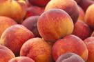 Pesche: produzione italiana ok, prezzi stabili