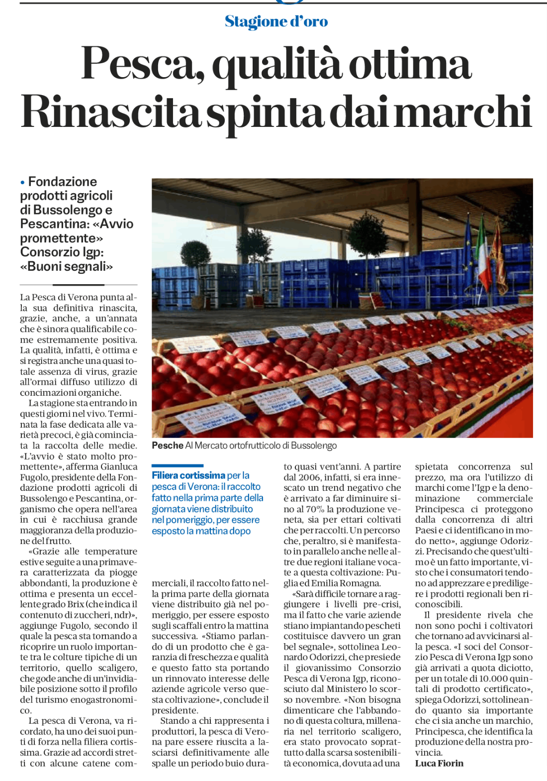 Il quotidiano di Verona interpella la Fondazione per parlare della stagione peschicola.