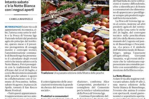 L'articolo del quotidiano L'Arena di Verona sulla Festa d'Estate