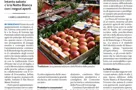 L'articolo del quotidiano L'Arena di Verona sulla Festa d'Estate