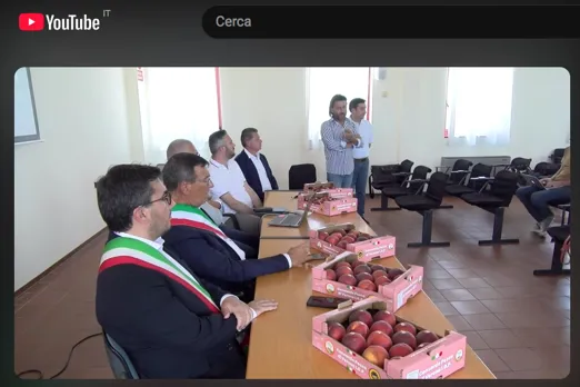 Il video sulla presentazione del Piano messo a punto dalla Fondazione