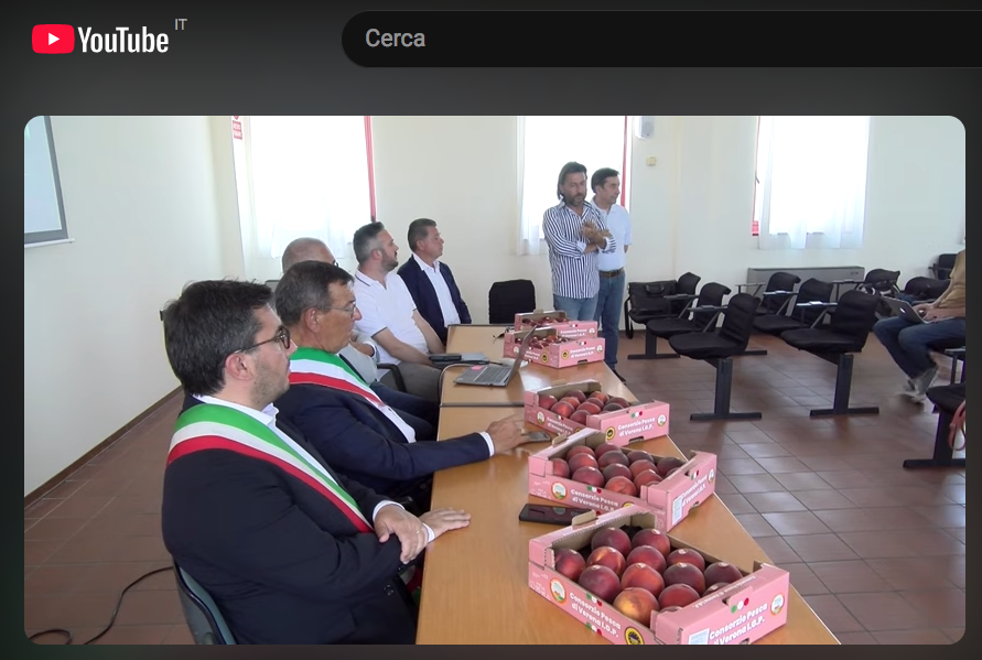 Il video sulla presentazione del Piano messo a punto dalla Fondazione