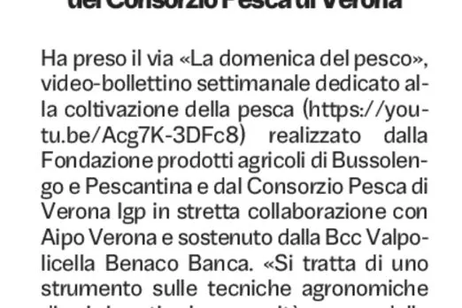 L'articolo del quotidiano L'Arena sul videobollettino della Fondazione