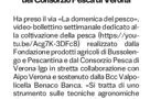 L'articolo del quotidiano L'Arena sul videobollettino della Fondazione