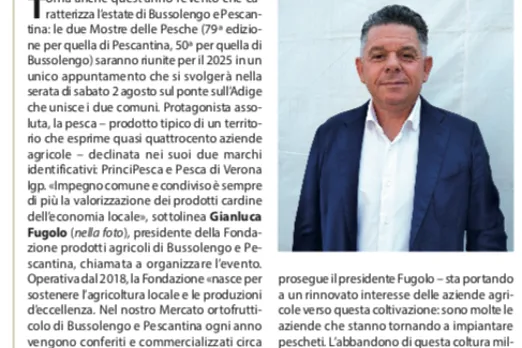 L'articolo pubblicato dal settimanale Verona Fedele