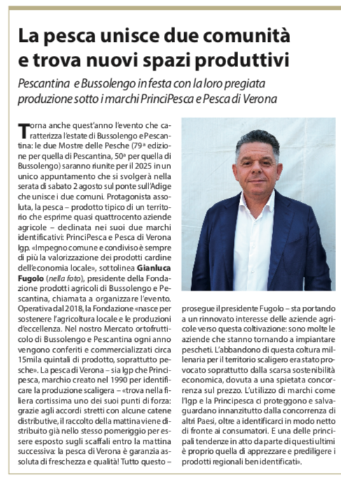 L'articolo pubblicato dal settimanale Verona Fedele