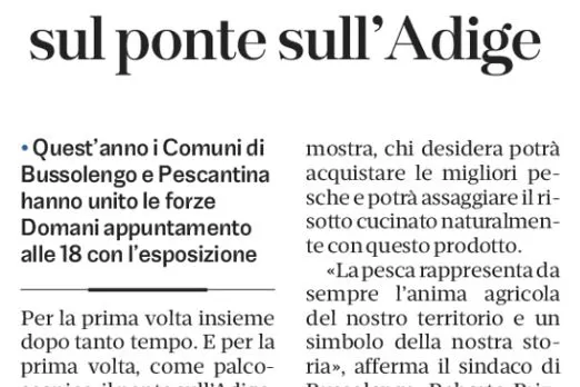 L'articolo del quotidiano L'Arena sulla Mostra delle Pesche