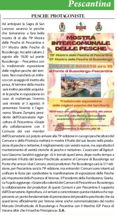 L'annuncio della Mostra intercomunale delle Pesche sui giornali