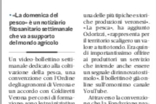 Il quotidiano L'Arena parla del Piano della Fondazione