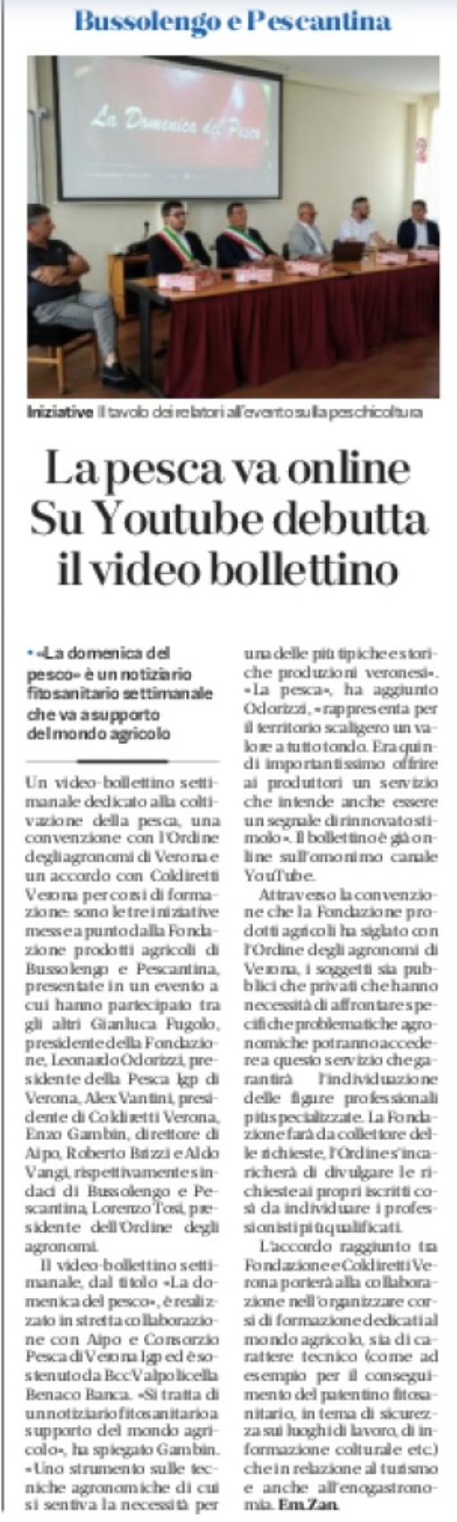 Il quotidiano L'Arena parla del Piano della Fondazione