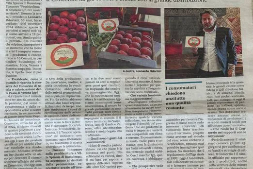 Il settimanale Verona Fedele parla della Pesca di Verona Igp