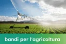 I nuovi bandi regionali del Veneto a favore dell'agricoltura