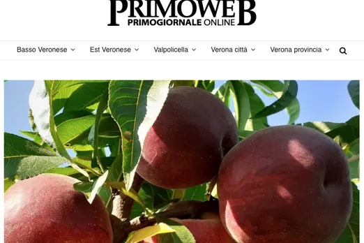 La notizia del corso su pesco e kiwi su Primogiornale
