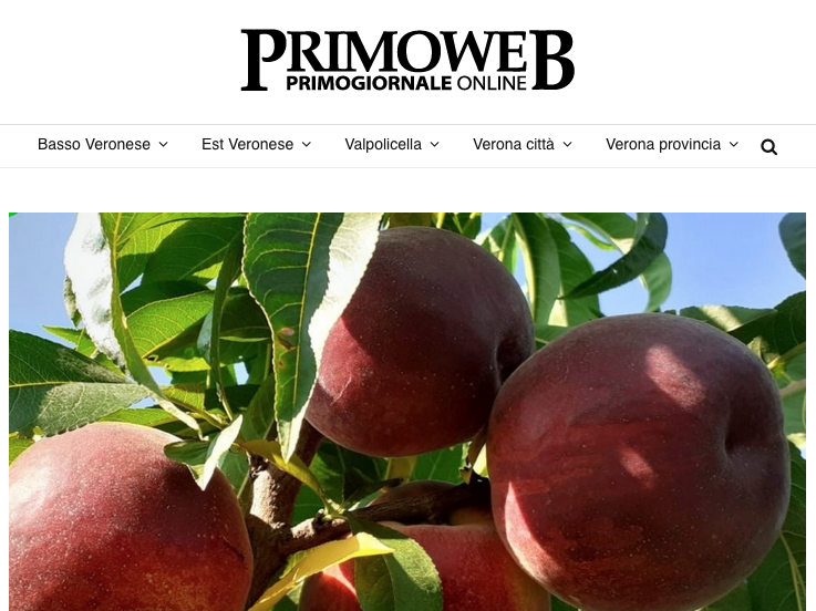 La notizia del corso su pesco e kiwi su Primogiornale