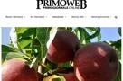 La notizia del corso su pesco e kiwi su Primogiornale