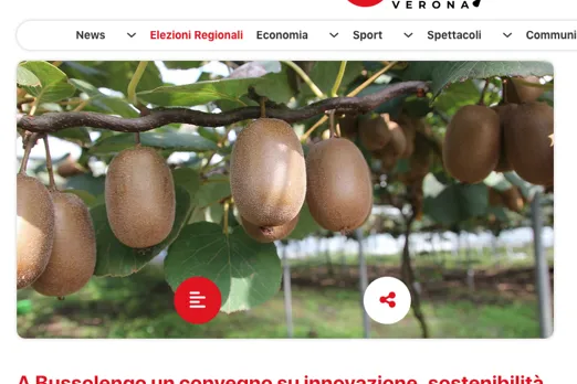 Sul quotidiano online Daily la notizia del convegno sul kiwi 