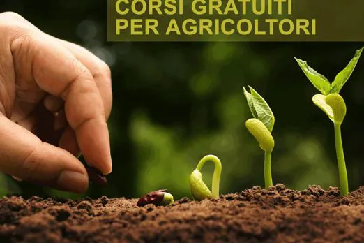 Il nuovo calendario del corso di 16 ore su pesco e kiwi
