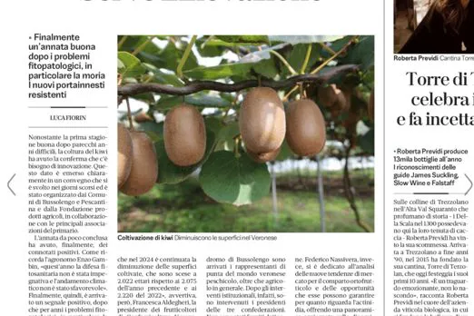Sul quotidiano L'Arena il convegno sul kiwi