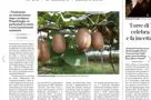 Sul quotidiano L'Arena il convegno sul kiwi