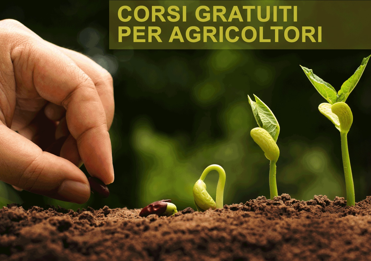 Prende il via venerdì 9 il corso di formazione su pesco e kiwi