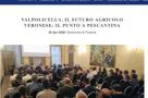 IL GIORNALE ONLINE "L'ADIGE" PARLA DI NOI 