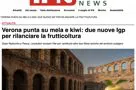La notizia della presentazione delle Igp di Mela e Kiwi su Italiafruit News
