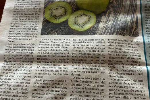 Lla presentazione delle Igp di Mela e Kiwi su Verona Fedele