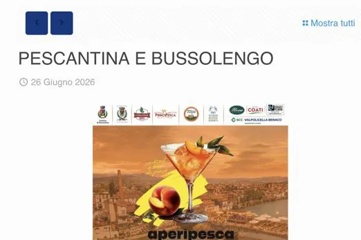 La notizia della conferenza stampa in Regione sul Veronese. 