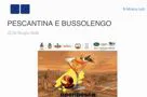 La notizia della conferenza stampa in Regione sul Veronese. 