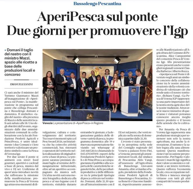 Il quotidiano di Verona parla della manifestazione del 4 e 5 luglio