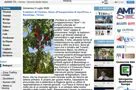 AperiPesca sul web magazine di Verona