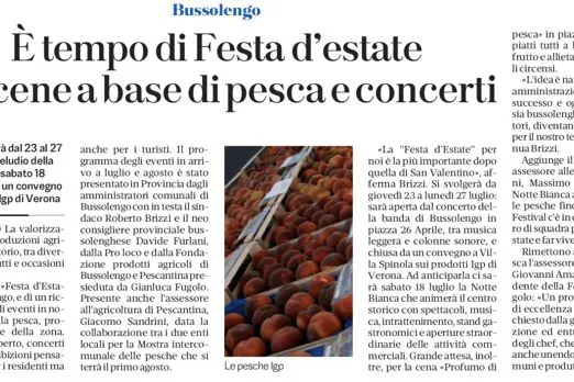 L'articolo della Festa d'Estate su L'Arena
