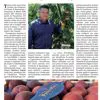 L'articolo del settimanale Verona Fedele