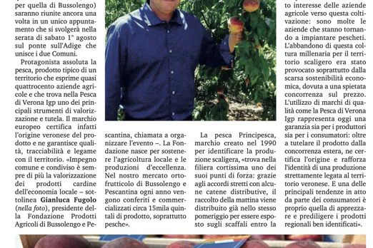 L'articolo del settimanale Verona Fedele