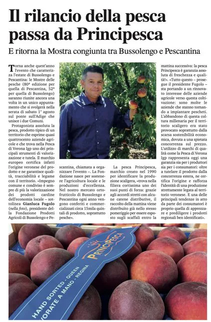 L'articolo del settimanale Verona Fedele