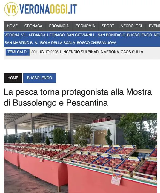 La Mostra delle Pesche su Verona Oggi