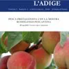 La Mostra delle Pesche su L'Adige
