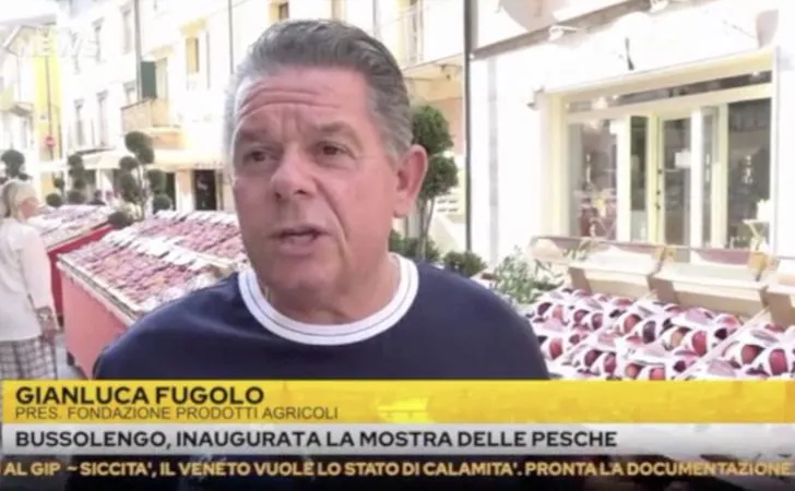 Il servizio di Telearena sulla Mostra delle Pesche