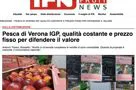 Italia Fruit News parla della Pesca di Verona Igp